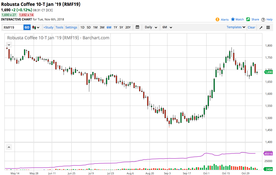 barchart robusta